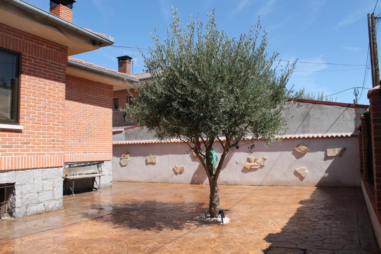 Aire De Pinares Villa Coca Eksteriør bilde